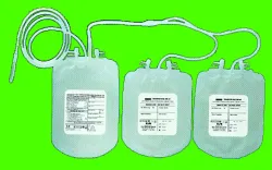BLOOD BAG HLL  Triple Blood Bag ~blog/2025/7/24/gbr hll triple blood bag